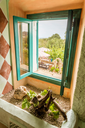 Finca Can Duvai_Superior_Apartment_Rittersaal_Aussicht.webp